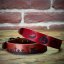 halloween collar halloween collar