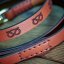 Fargo Set of Lead and Collar