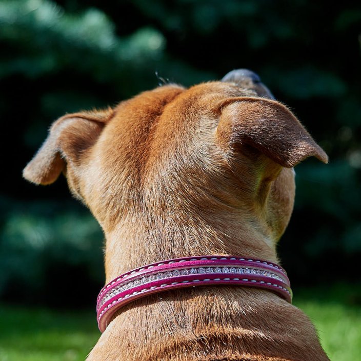 Classic Swarovski Collar