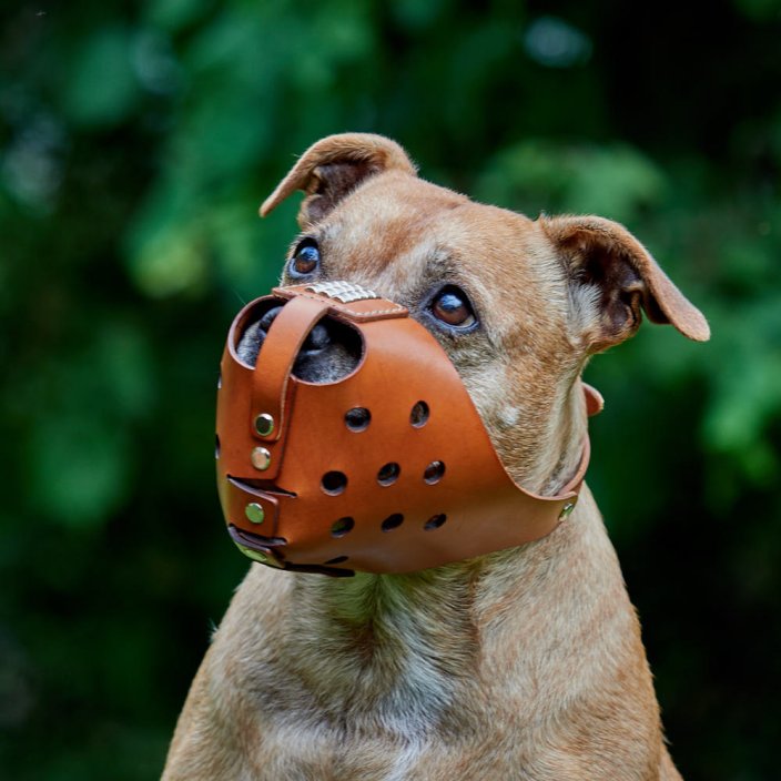Whisper Muzzle