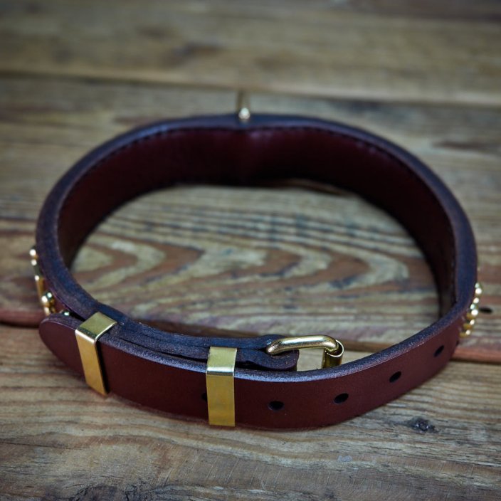 Ribbon Classic Collar
