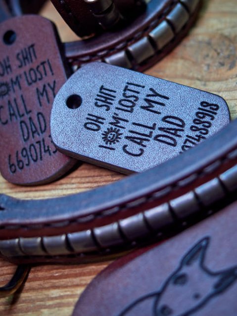 5 raisons d’offrir une médaille à son chien même pucé