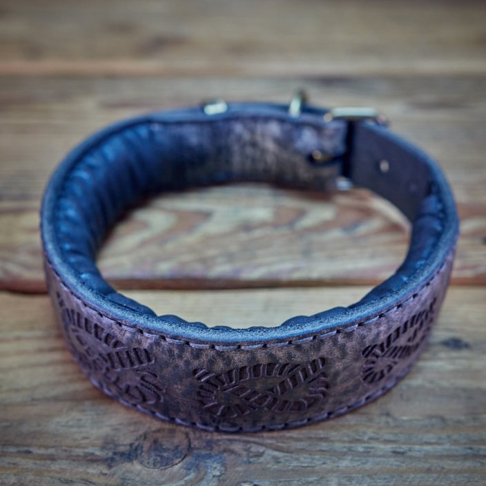 Classic Jolly Jumper Collar Classic Jolly Jumper Collar