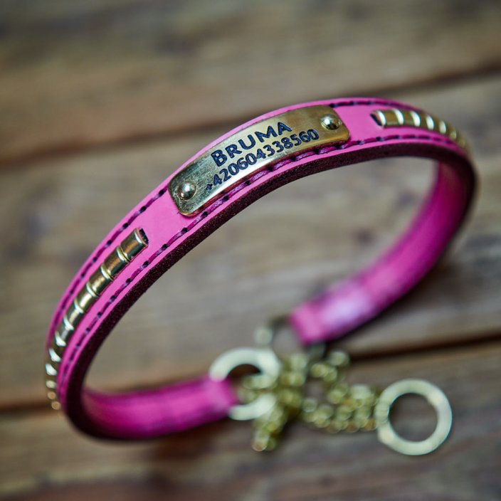 Rattlesnake Half Check Collar