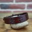 Classic Custom Coinage Collar