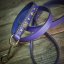 Beans lead for Staffies | Slade Czech Beans lead for Staffies | Slade Czech