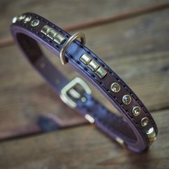 Shiny Alpha Classic Collar Shiny Alpha Classic Collar