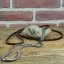 Snake Show Collars
