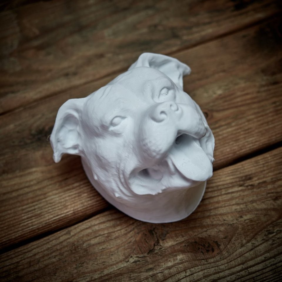 3D Staffy Head from Another Galaxy: Original Decoration for Your Home