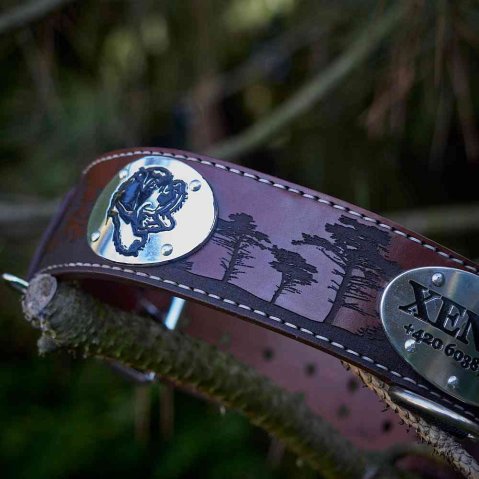 Custom Dog Gear: Got an Idea? We’ll Make It
