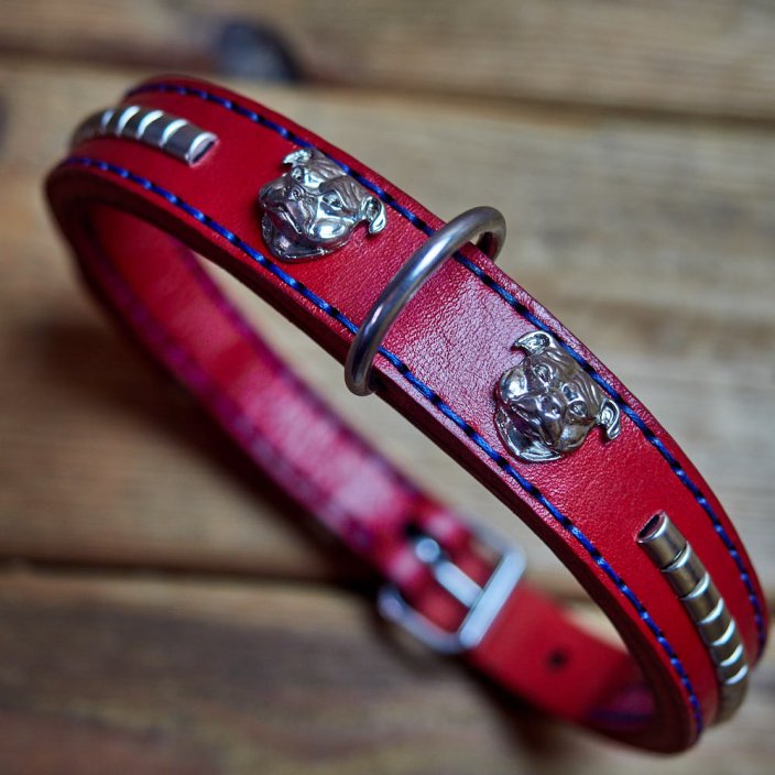Explorer Classic Collar Explorer Classic Collar