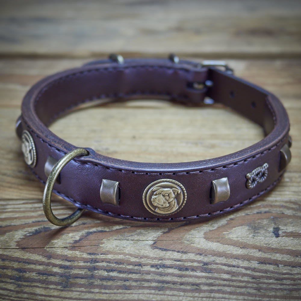 Vintage Paws Slade Czech Retrostyle dog collar.