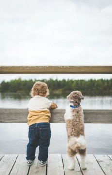 Living together of a child and a dog