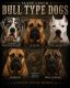 Bull-Type Dogs Guide, Part 4: The Wider Relatives and the Heavy Hitters