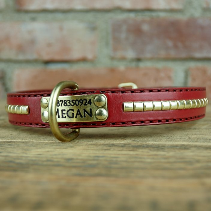 Long Ride Classic Collar