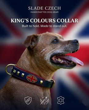  King’s Colours collar Slade Czech