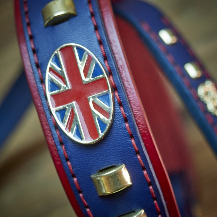 King's Colours Classic Collar