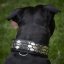 Hexagon Classic Collar Hexagon Classic Collar
