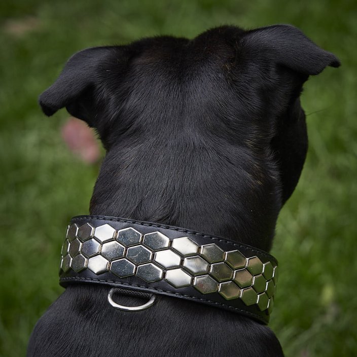 Hexagon Classic Collar Hexagon Classic Collar