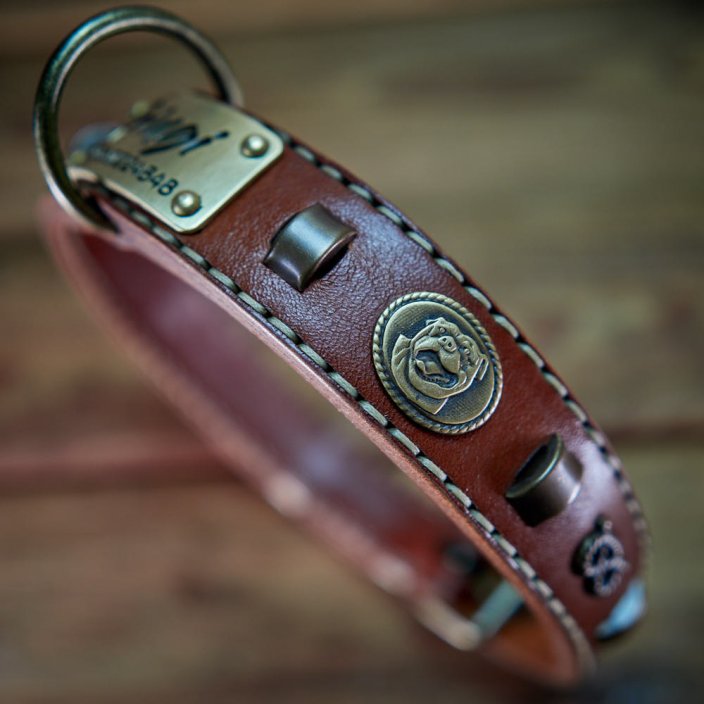 Renegade Classic Collar