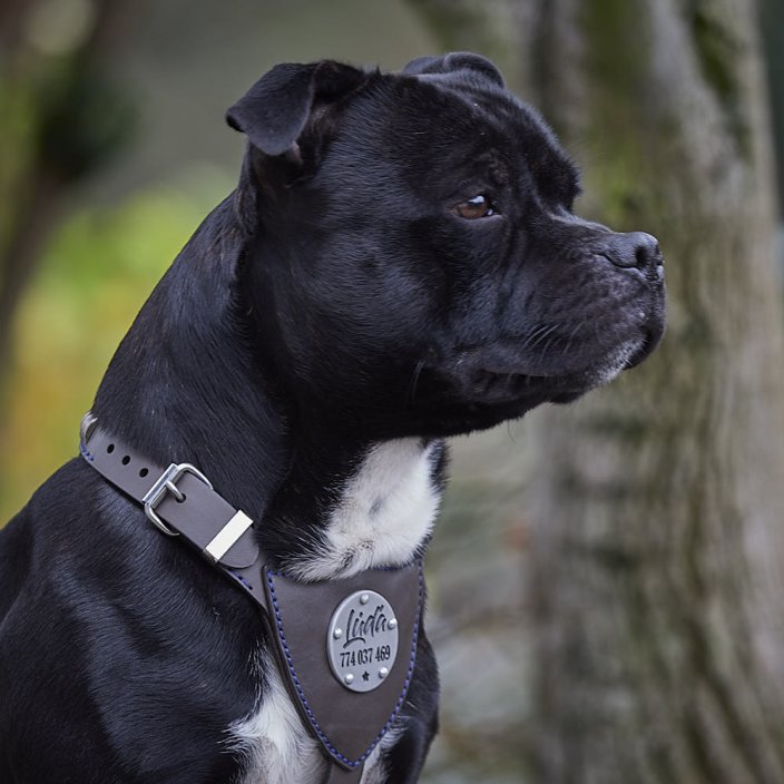 My Hero Harness My Hero Harness