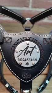 Jak se vyrábí psí postroj ve Slade Czech?