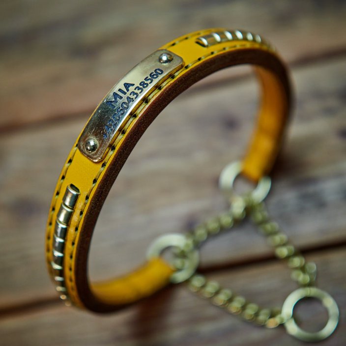 Rattlesnake Half Check Collar