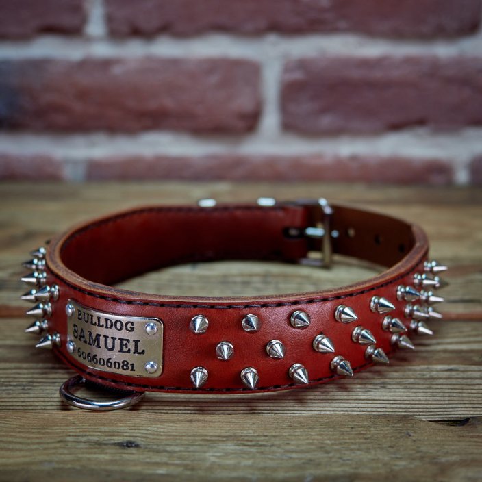 Hardcore Collar Hardcore Collar