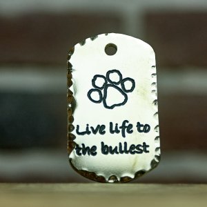 Engraved Dog Tags & Tough Leather Collars