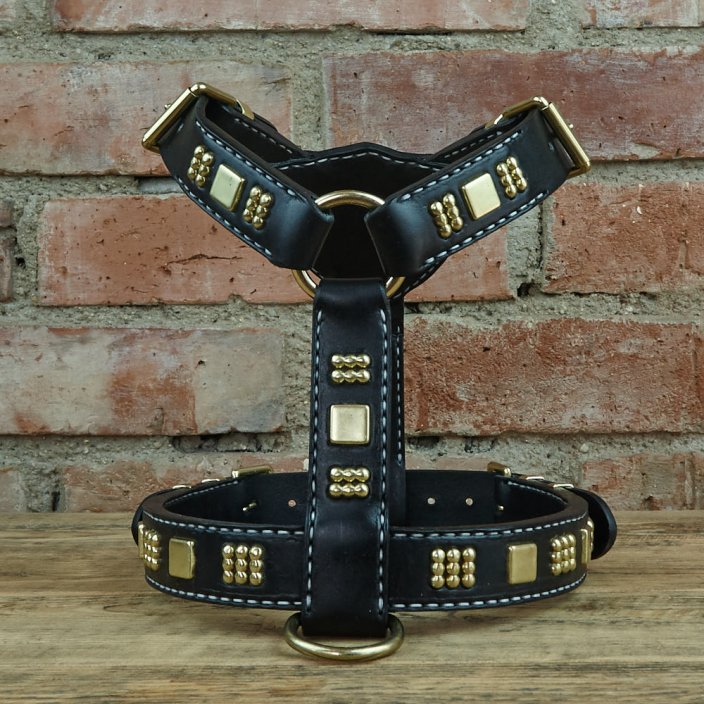 Gladiator Gladiator