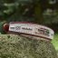 Funky Paws Classic Collar Funky Paws Classic Collar