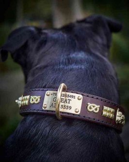 Collier large, cou protégé