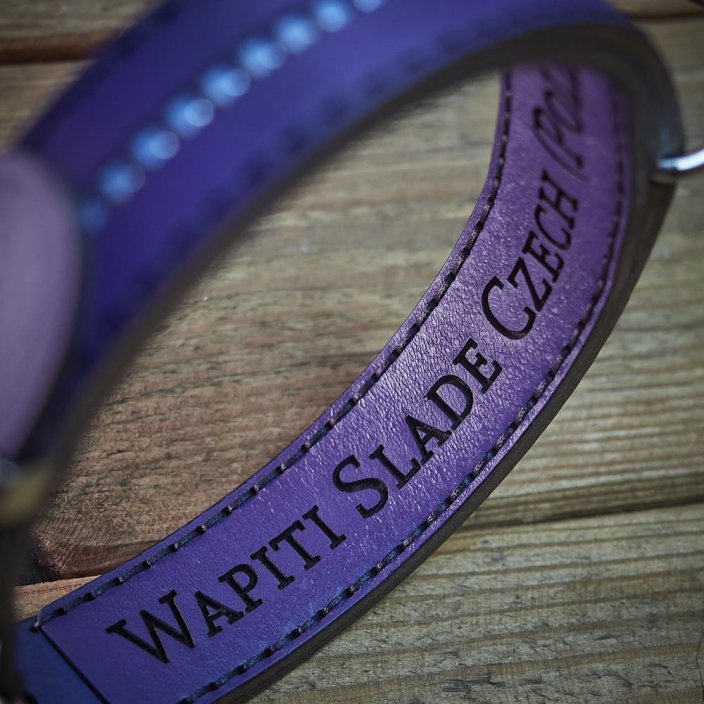 Classic Shine Paw Collar