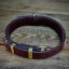 Ribbon Classic Collar