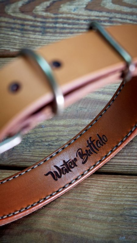 personalised dog collars