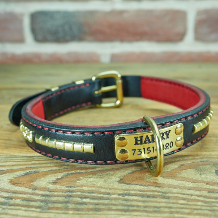 Mischief Classic Collar Mischief Classic Collar