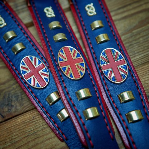 Double-Layer Leather Collar for Strong Staffordshire Bull Terriers