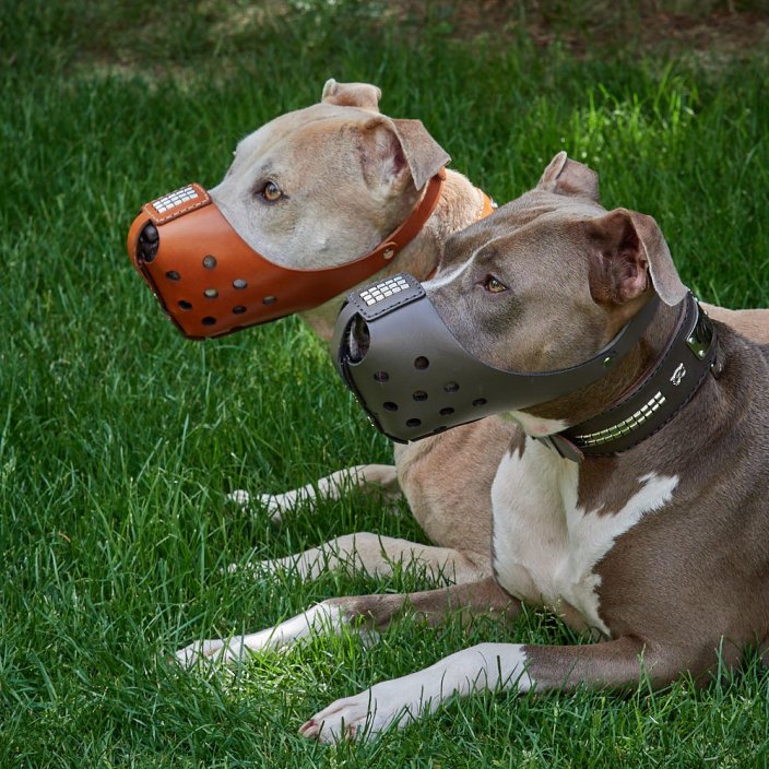 Whisper Muzzle