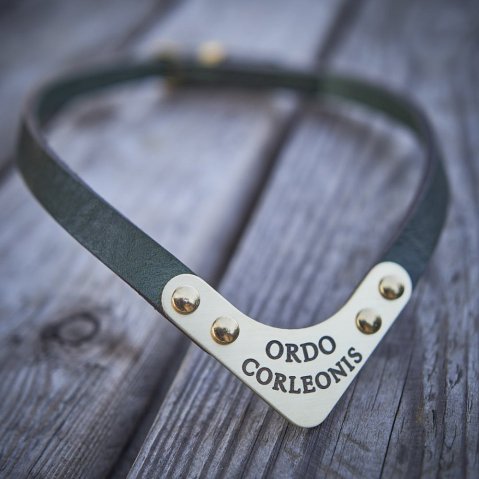 5 raisons d’offrir une médaille à son chien même pucé