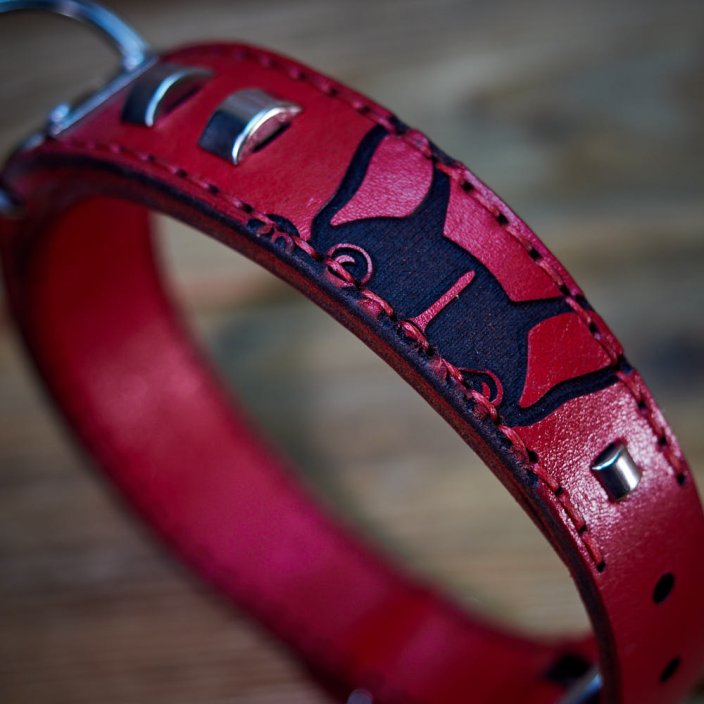 Frenchie Flair Collar Frenchie Flair Collar
