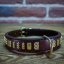 Ribbon Classic Collar