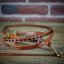 Ensemble collier et laisse chiot Slim Tendon Ensemble collier et laisse chiot Slim Tendon
