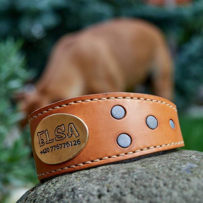 Collier levrier Firefly