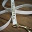 Laisse Prestige Kaytech