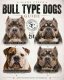 Guide des chiens de type bull, partie 2 : Bull & bully, la bande moderne