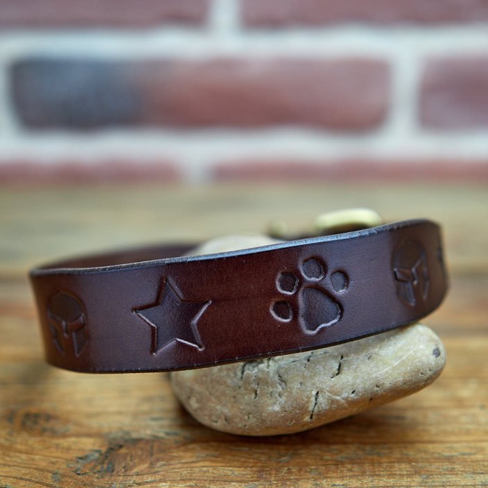 Classic Custom Coinage Collar