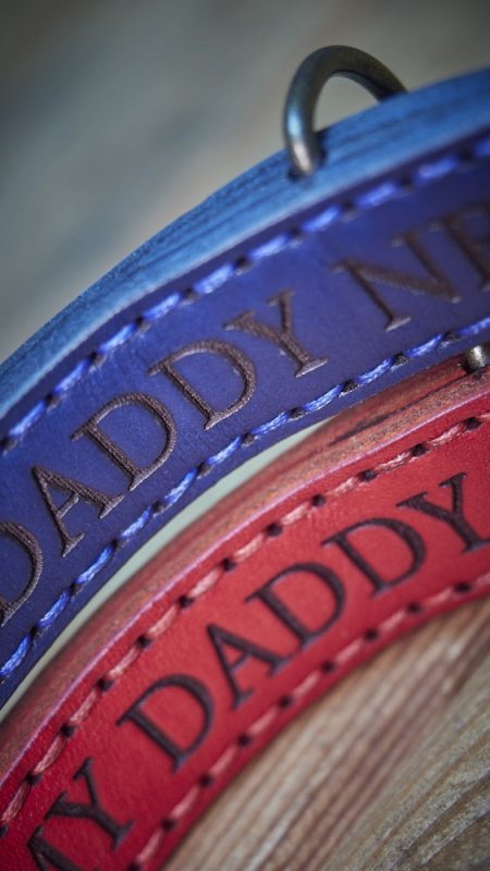 Jak poznat poctivej koženej obojek