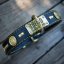 Wild Animal Classic Collar