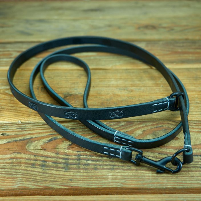 Fargo Set of Lead and Collar