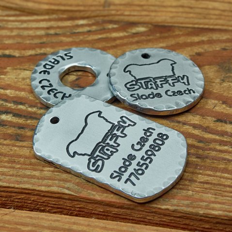 5 raisons d’offrir une médaille à son chien même pucé